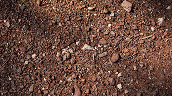 Instrument Choice Experiment: How to Determine Your Soil Type and Optimise Irrigation