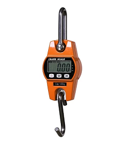 Crane Scales