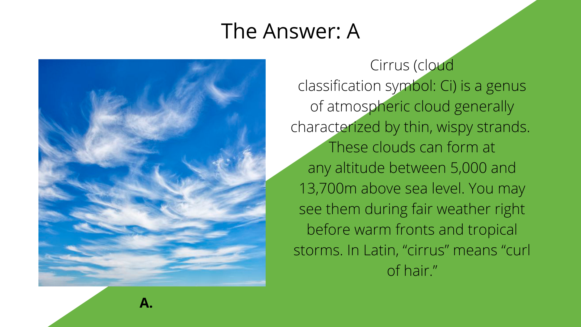 Copy%20of%20Which%20is%20a%20Cirrus%20cloud_.png?Action=thumbnail&algorithm=fill_proportional&width=800
