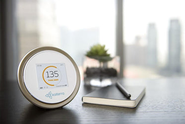Everything You Need to Know About Laser Egg Air Quality Monitors