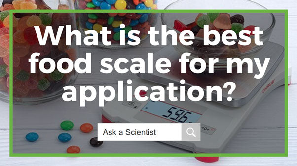 The Top 5 Food Scales of 2020