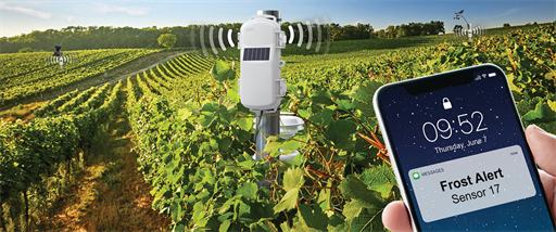Your Guide to the Frost Alarm System from Hobo