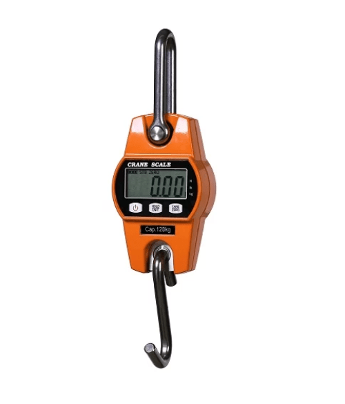 200kg x 100g CR Digital Crane Scale - IC-CR-M 200