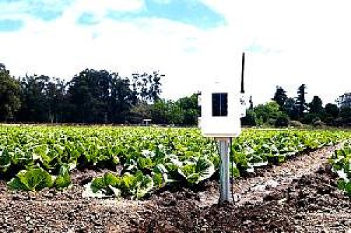 Complete Wireless Soil Moisture-Temperature Station for Vantage Pro Weather Station (Requires Weather Station or Davis Console) - IC6345CSAU