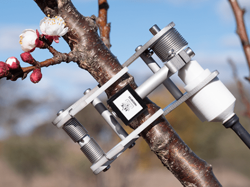 Integrated Dendrometry Monitoring Station (For stems 5mm to 40mm in diameter) - IC-SNiP-DPS-SL