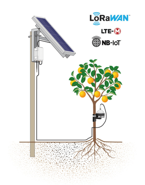 Integrated Dendrometry Monitoring Station (For stems more than 60 mm in diameter) - IC-SNiP-DBS6-SL