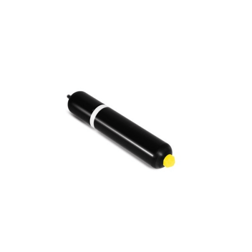 Leica Maxi Sonde