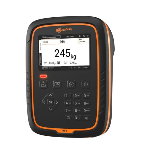 W-1 Weigh Scale
