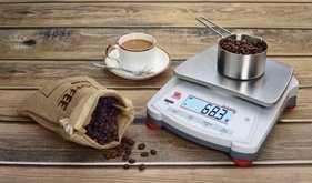 The Top 5 General Use Digital Scales and Balances