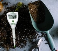 How Do I Test My Soil pH?