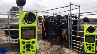Kestrel 5400 Cattle Heat Stress Tracker with LiNK + Vane Mount