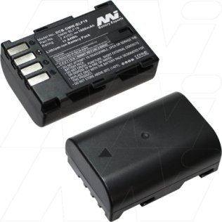 Consumer Digital Camera Battery - DCB-DMW-BLF19-BP1