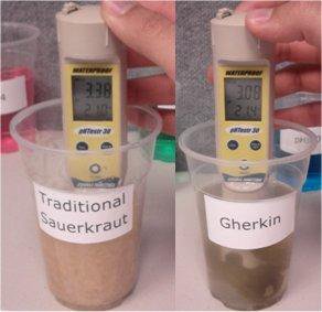 Traditional sauerkraut vs gherkin